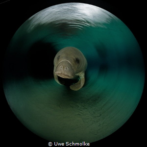 Twist and shout by Uwe Schmolke 